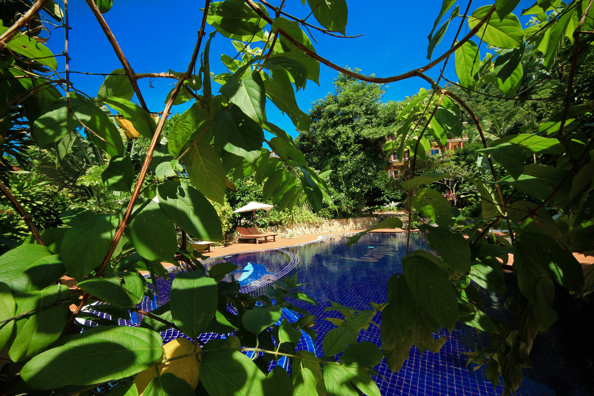 Spring Valley Resort Кеп Экстерьер фото